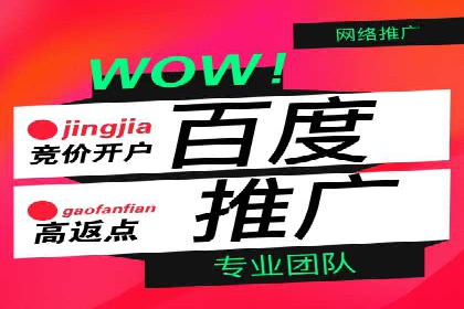 竞价推广实战攻略：成功案例分享